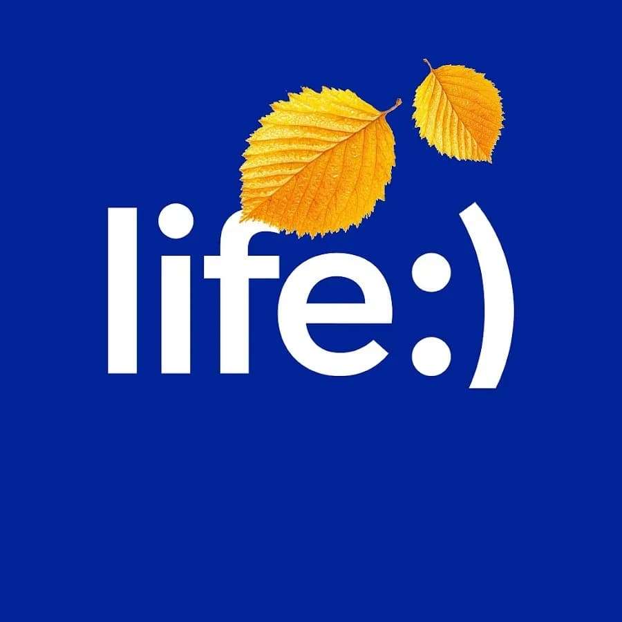 Life by